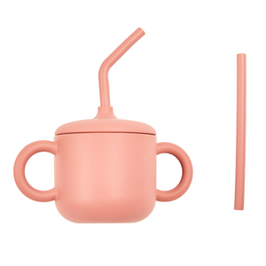 Children's Double Straw Cup