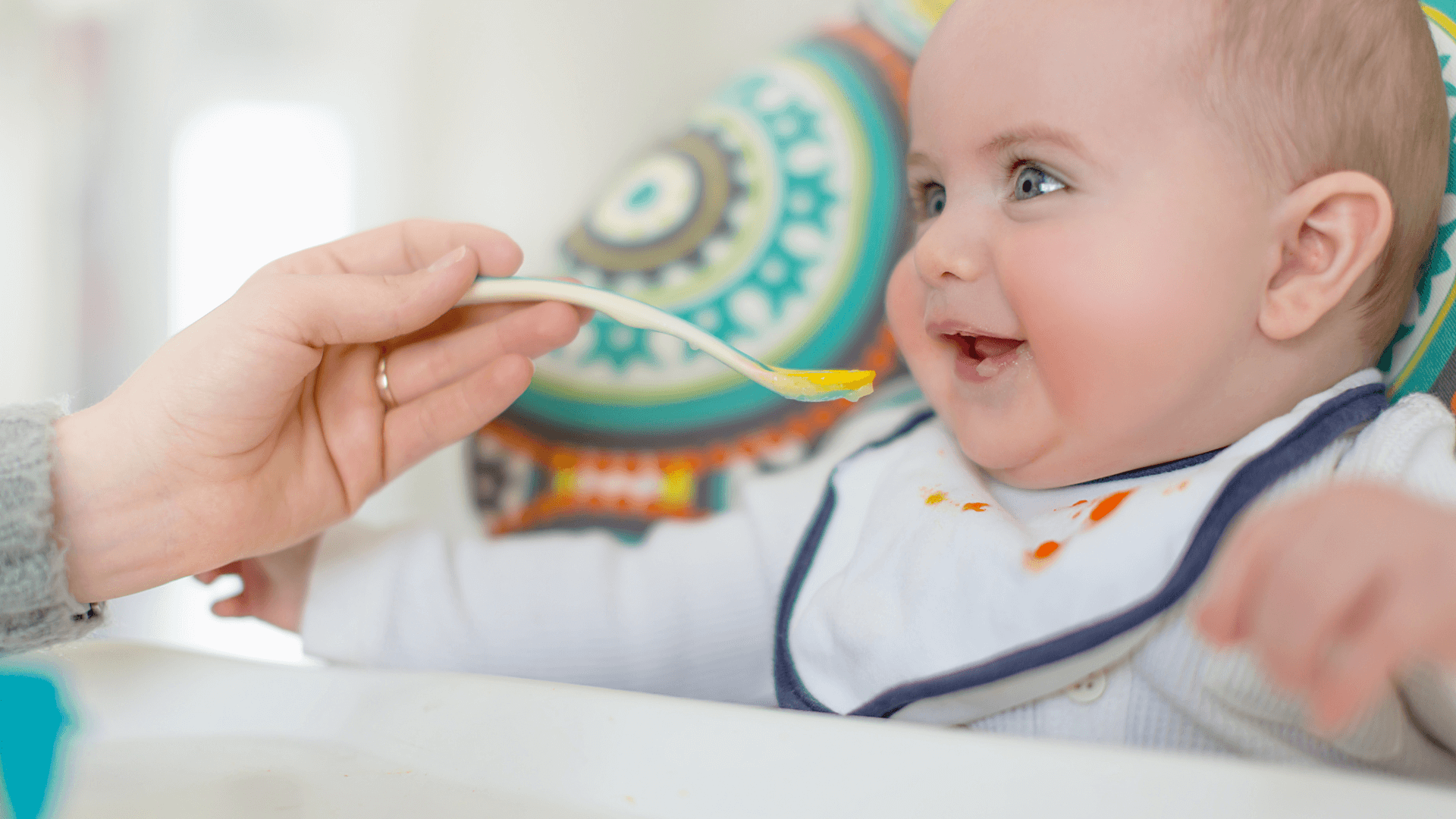 Sample Menu Plan for Bub’s First Month of Starting Solids with Purees