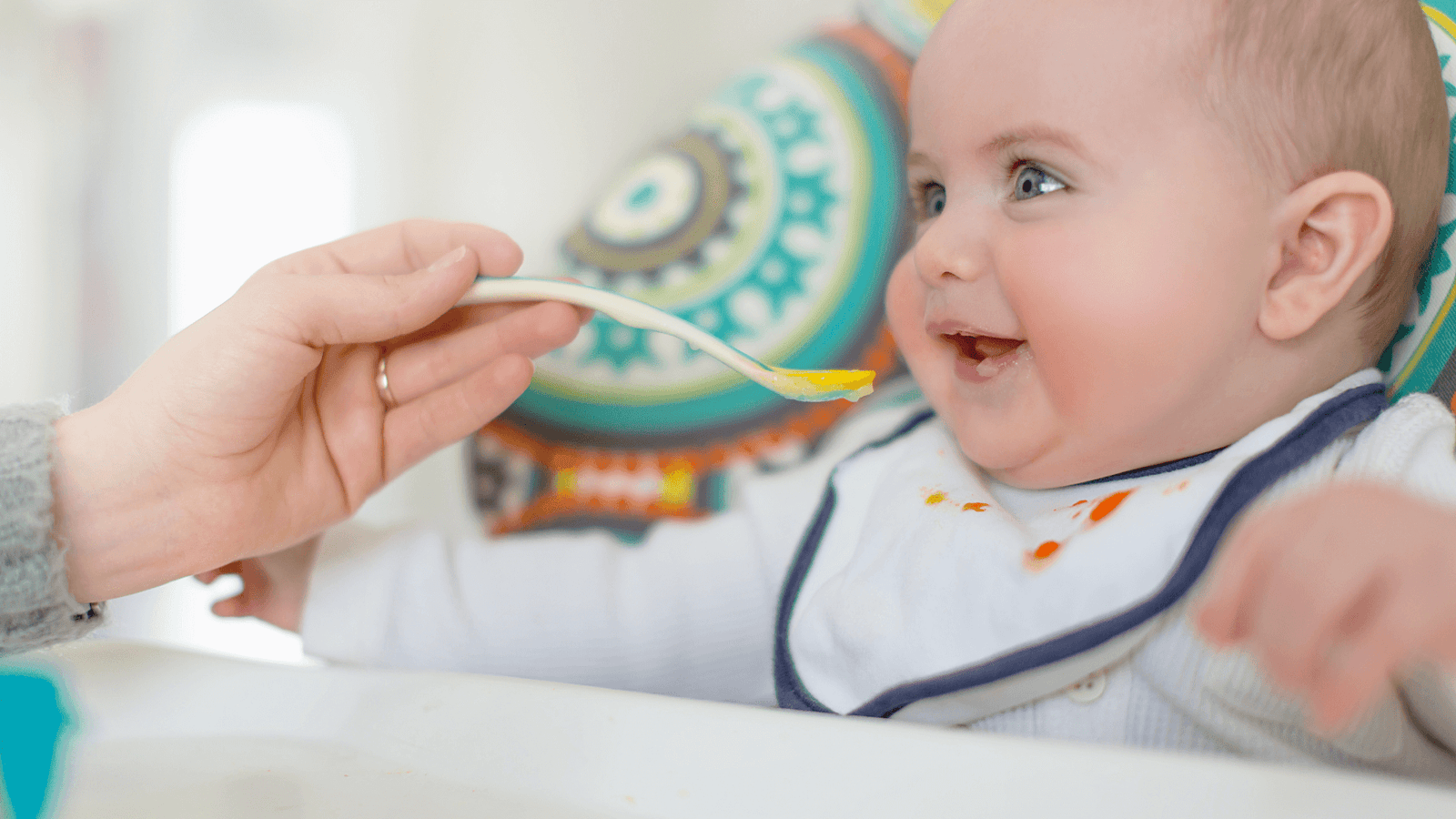 Sample Menu Plan for Bub’s First Month of Starting Solids with Purees
