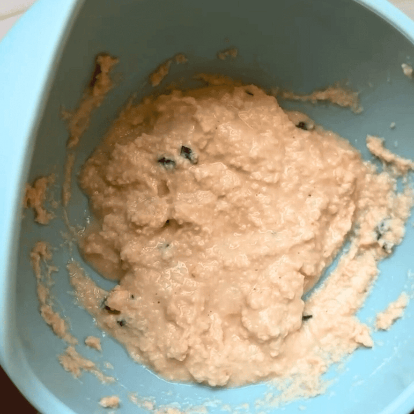 salmon and cream cheese baby puree