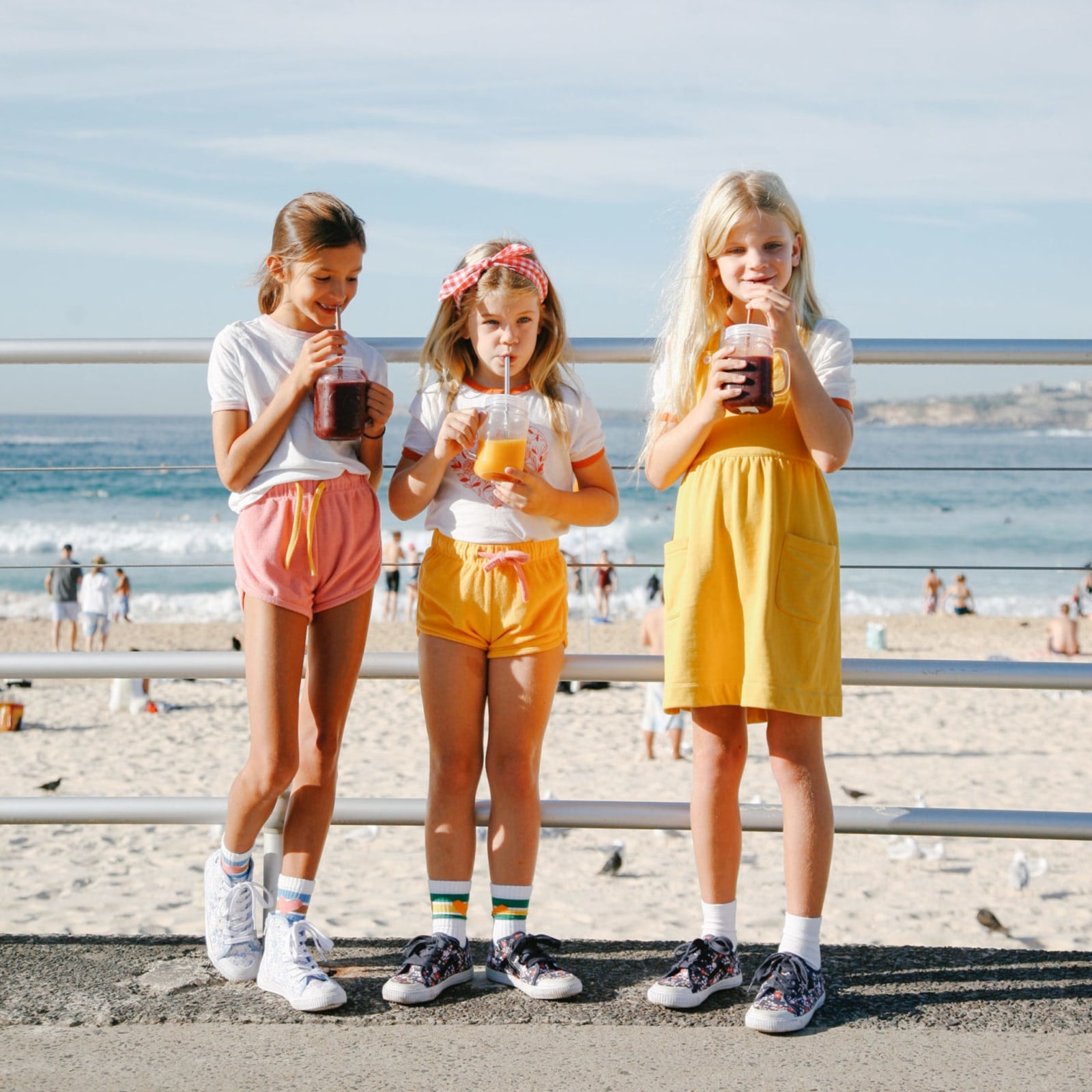 Antioxidant Rich Berry Smoothie