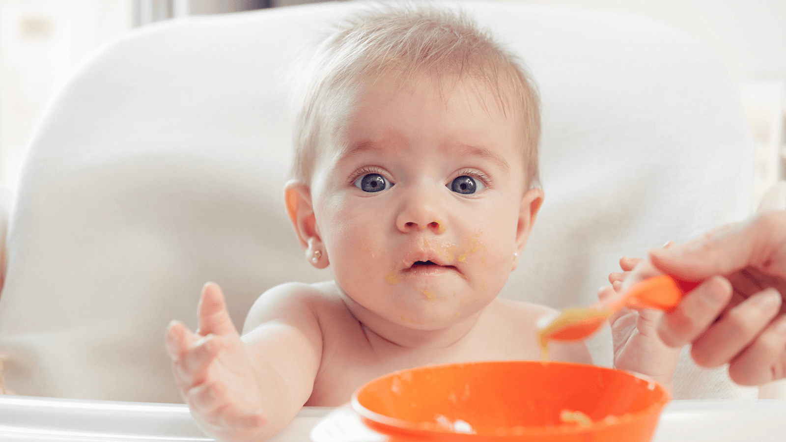 Nutritional Foundations: The Essential Building Blocks for Baby's Meals