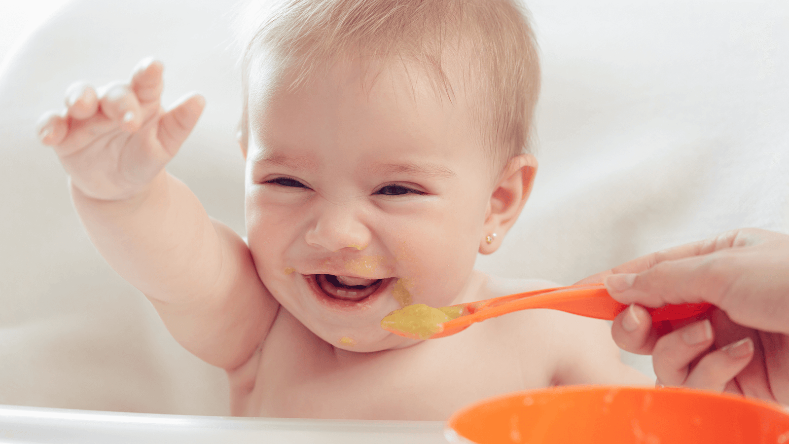 Best Substitutes for Wheat, Eggs, and Dairy