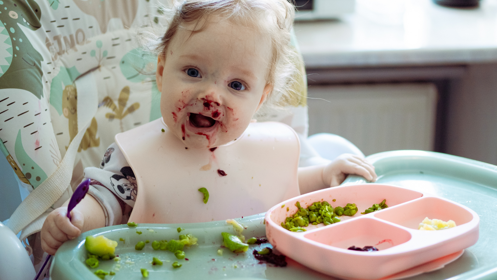 BLW vs Puree Feeding