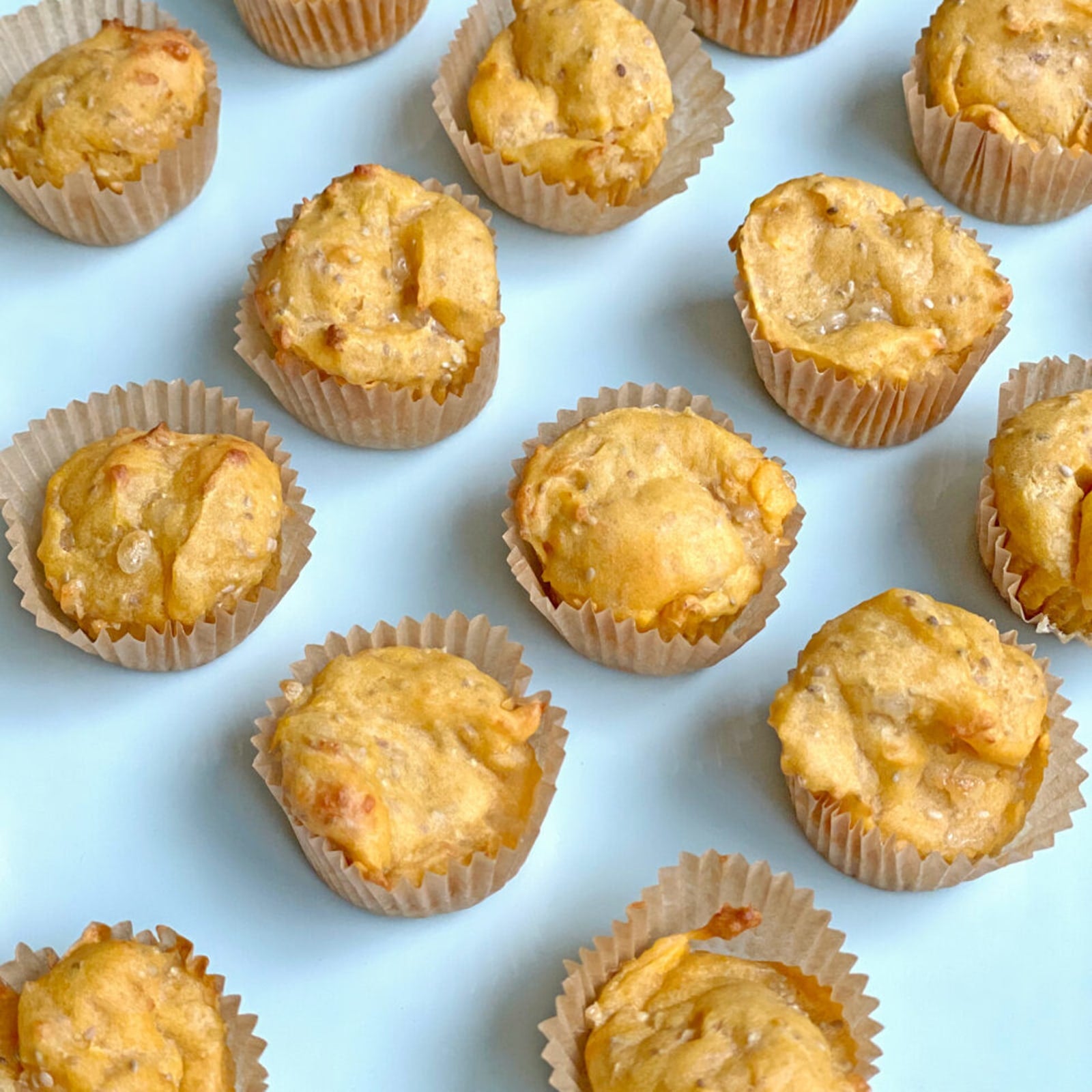 Salmon Chia Muffins