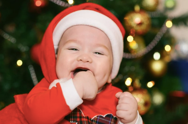 baby-food-ideas-holiday-plate-finger-foods-for-babies.jpg