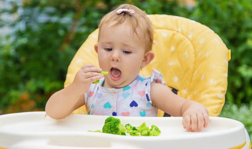 Fibre for Tiny Tummies: Helping Bub Stay Happy and Regular