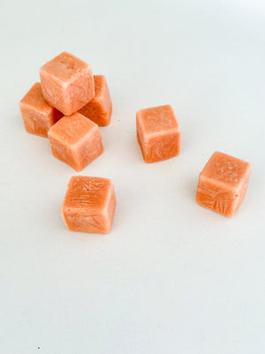NEW! Salmon Puree Cubes