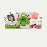 Complete Intro to Solids Bundle